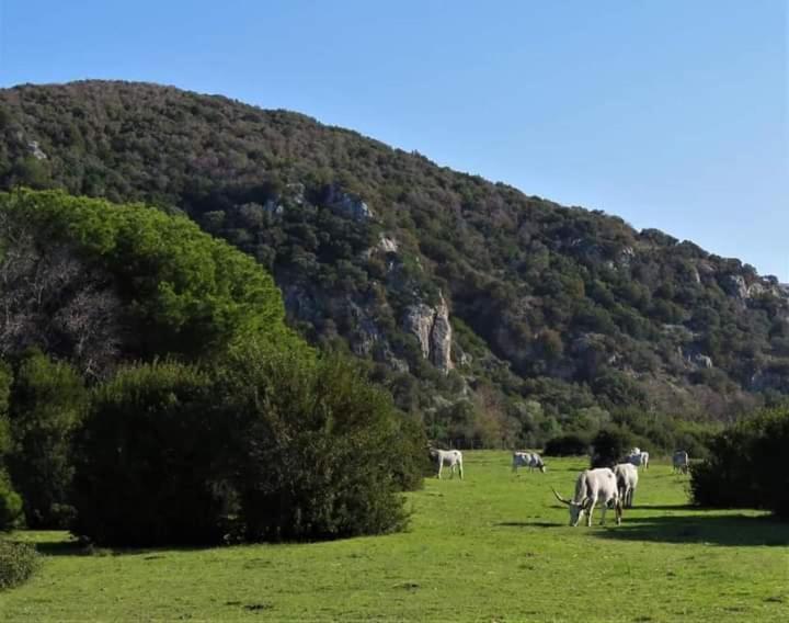 Hotel B&B Rispescia Grosseto Екстер'єр фото