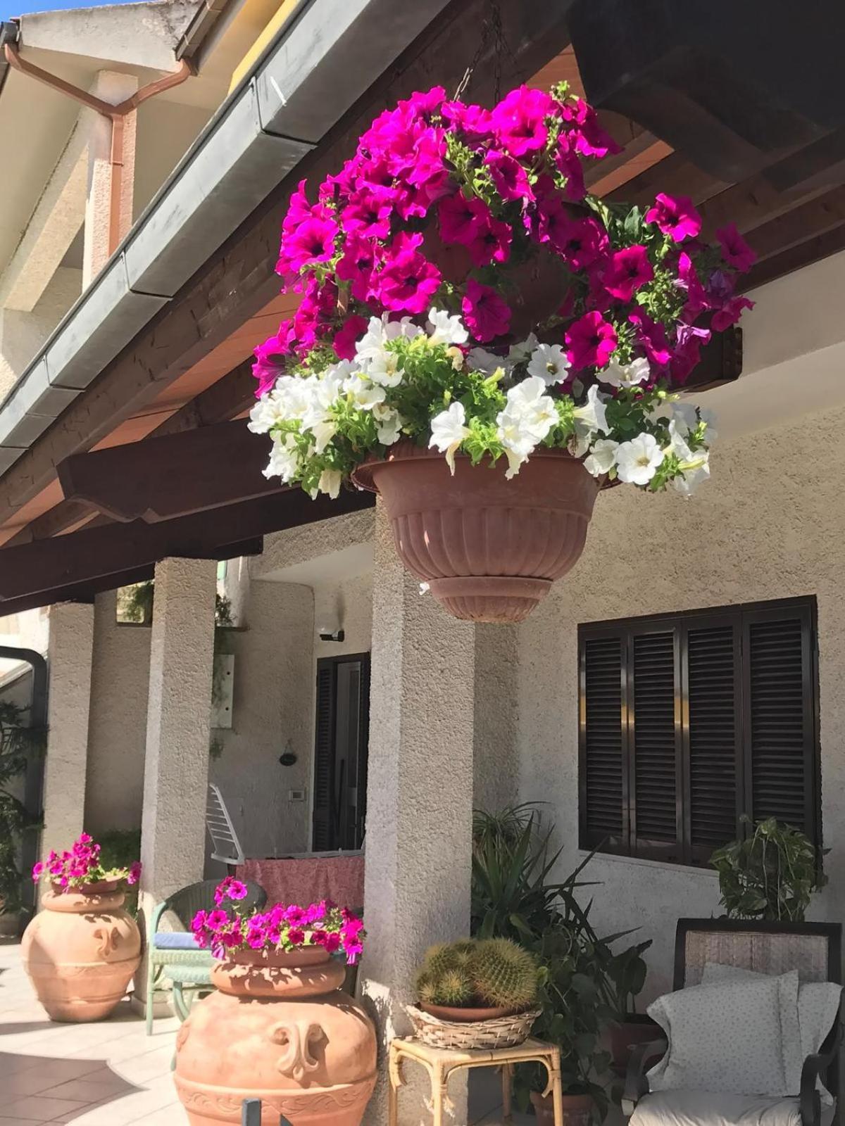 Hotel B&B Rispescia Grosseto Екстер'єр фото