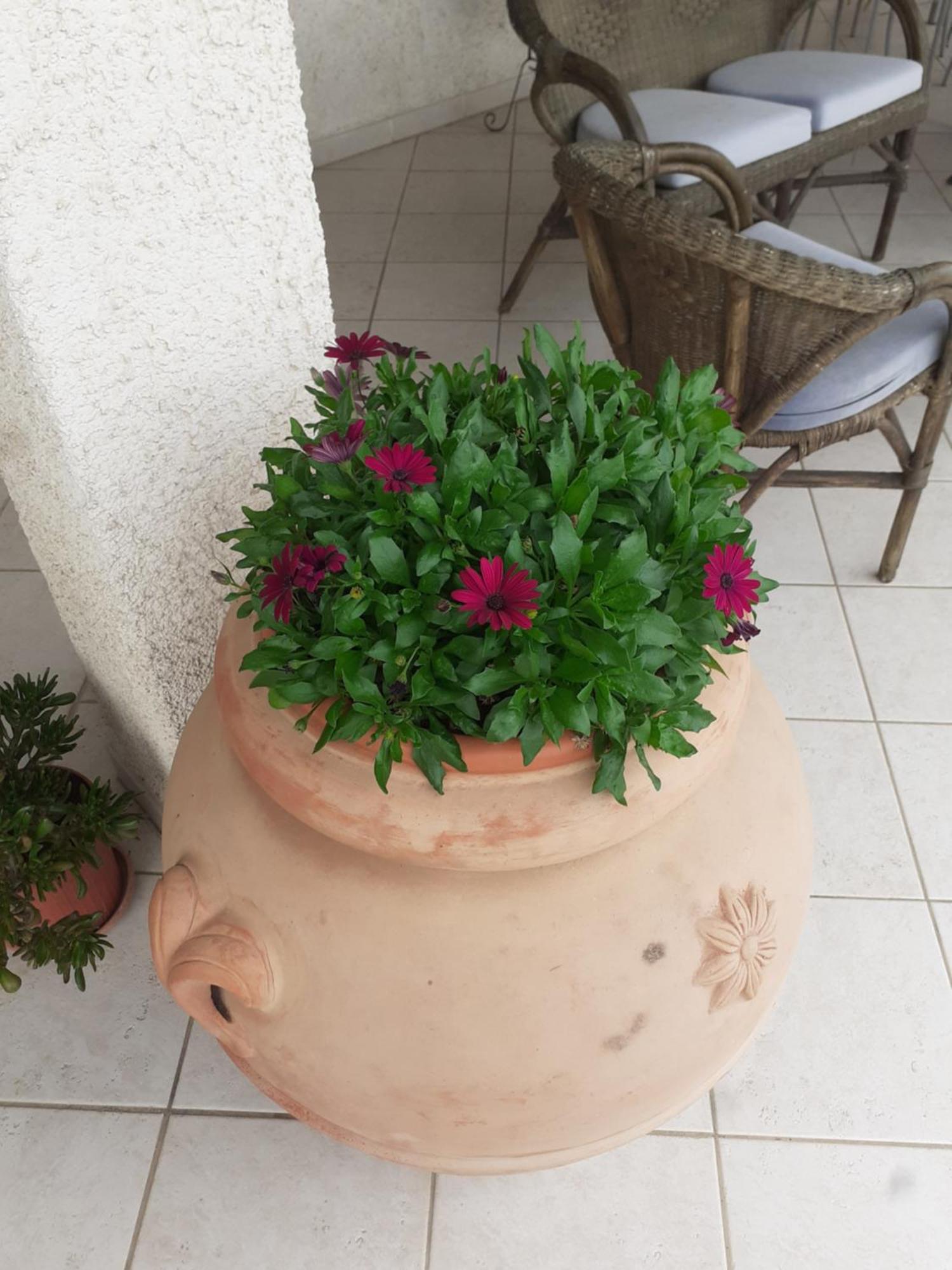 Hotel B&B Rispescia Grosseto Екстер'єр фото