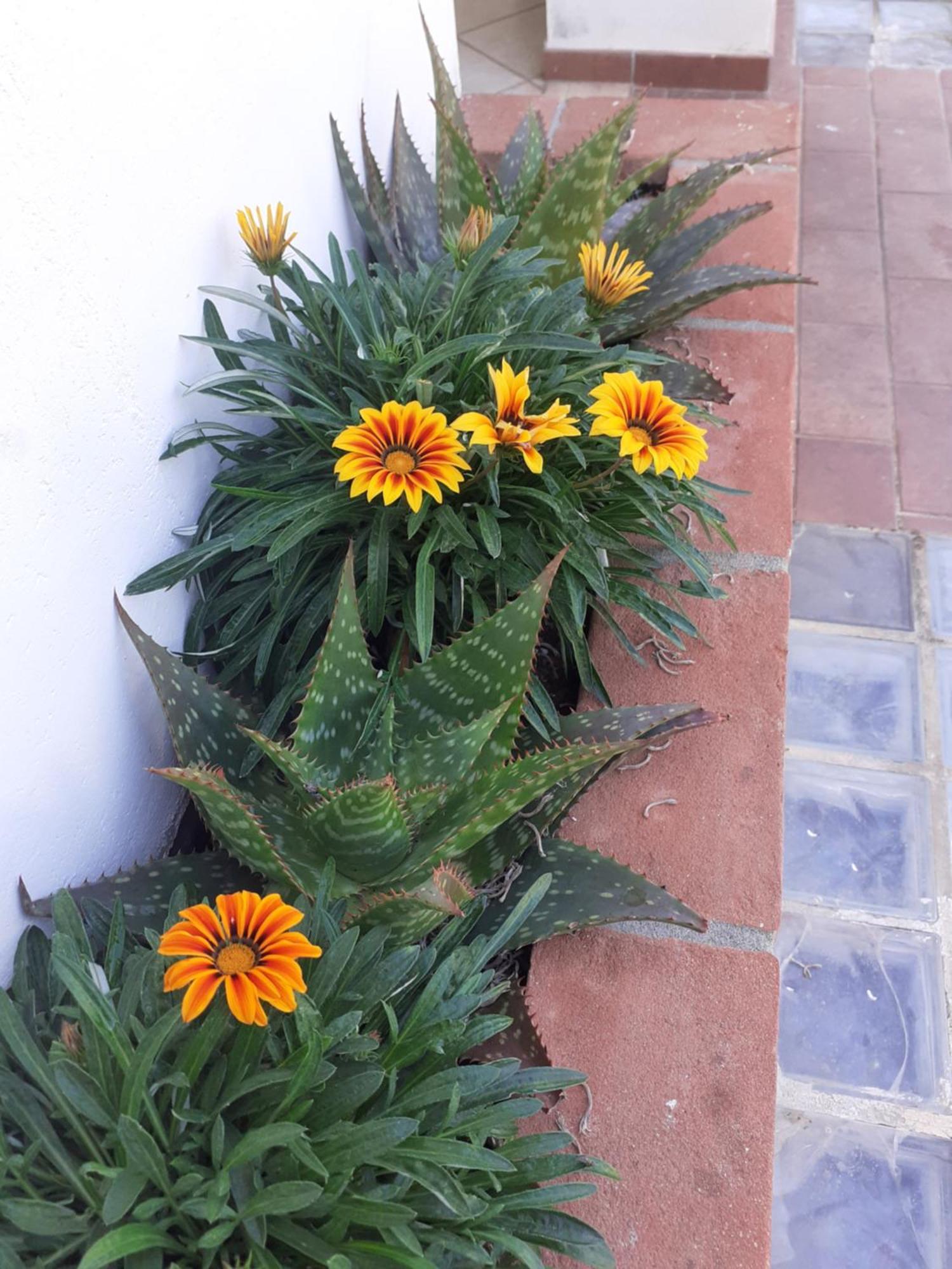 Hotel B&B Rispescia Grosseto Екстер'єр фото