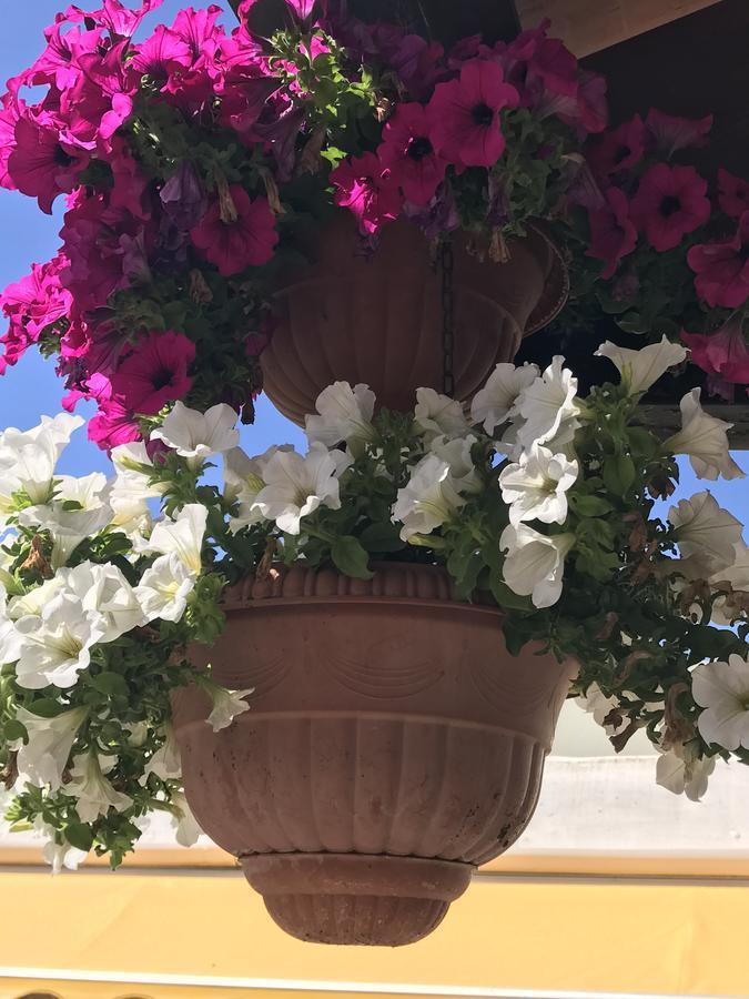 Hotel B&B Rispescia Grosseto Екстер'єр фото