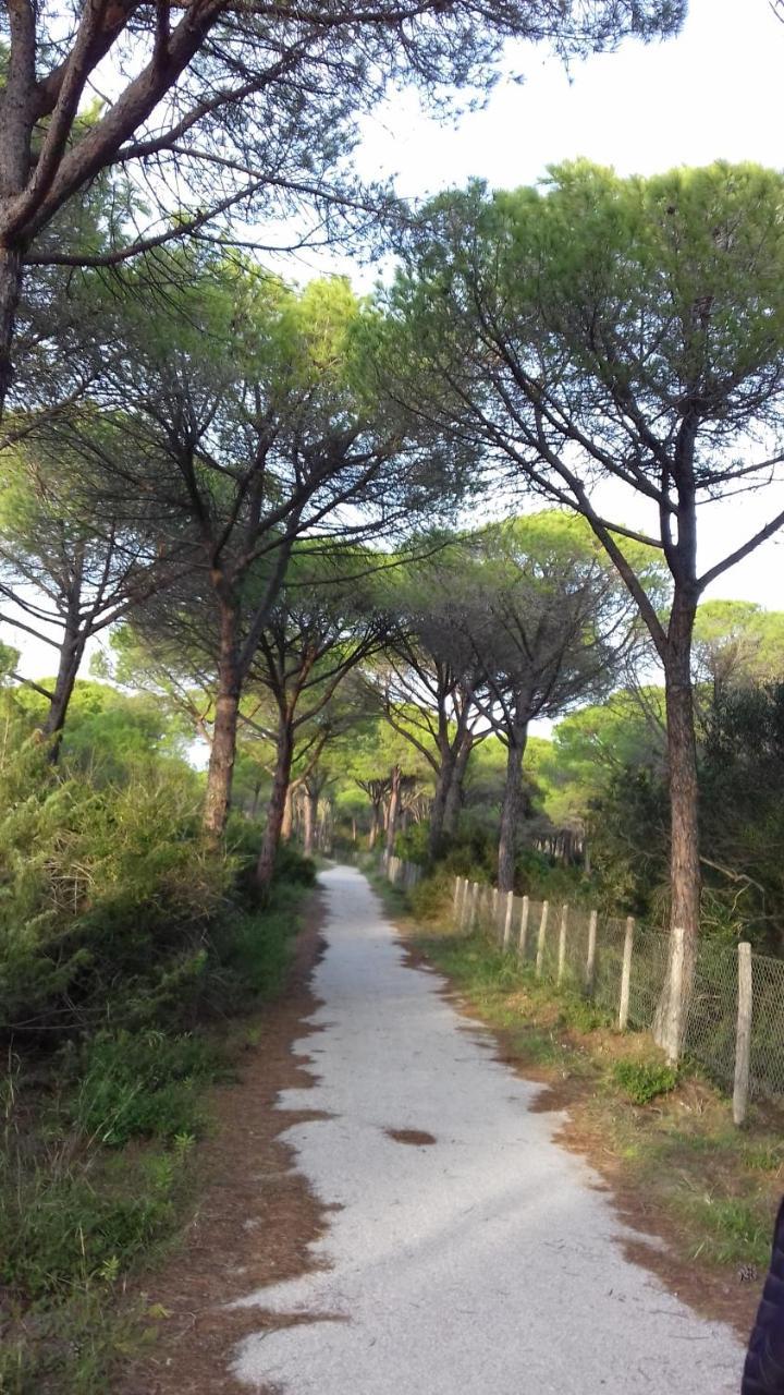 Hotel B&B Rispescia Grosseto Екстер'єр фото